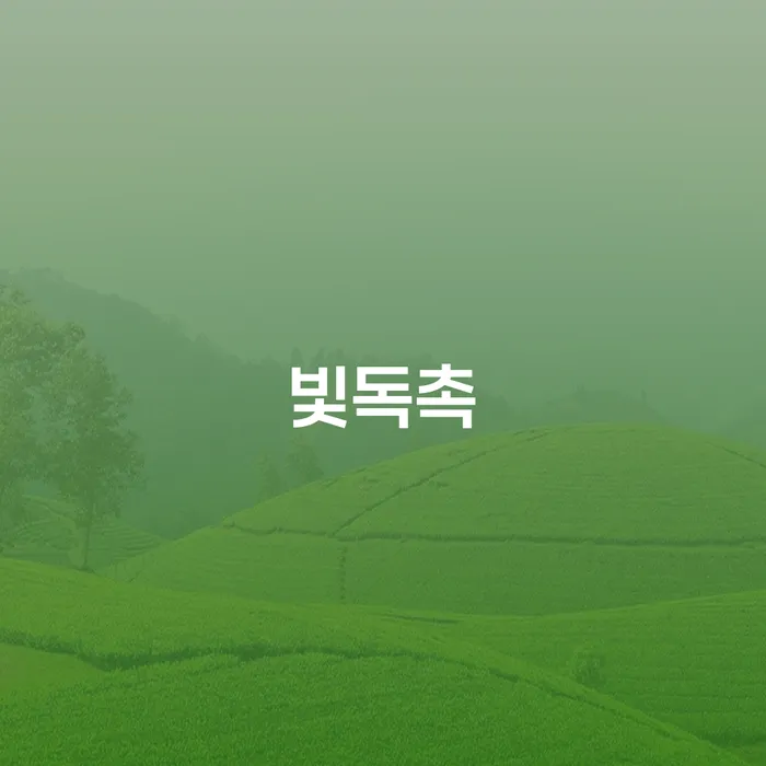 개인회생제도 개인회생 신청해야할때