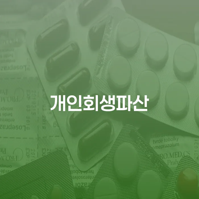 개인회생인가 개인회생 제도 정해지는