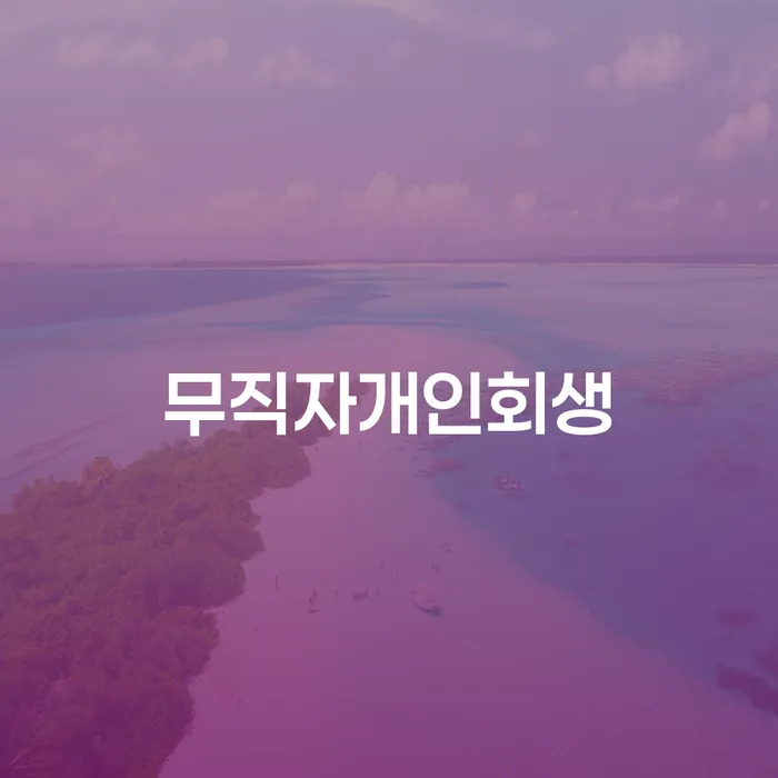 사업자대환대출 연체 시 채무조정제도을 이용하여 모든정보