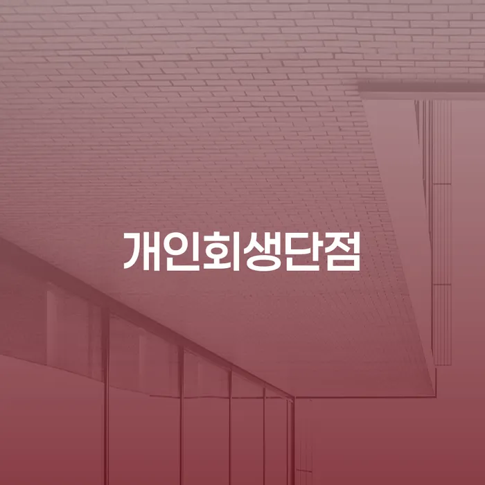 개인회생전문변호사 개인회생으로 해결방법 관련정보
