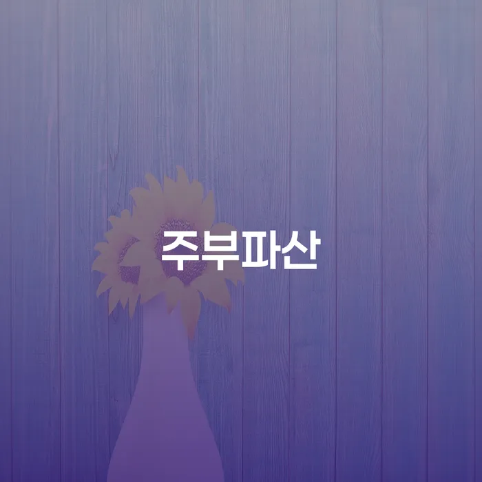 채무탕감 개인회생으로 해결방법 진행방안