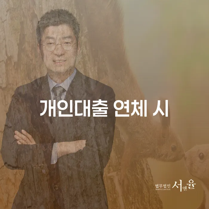 강화군 중금리대환대출 연체 시 개인회생 성공은