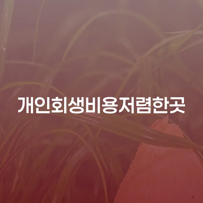 종로구 개인회생신청방법 개인회생,개인파산으로 지금알아보기