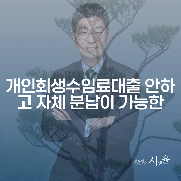 옹진군 보이스피싱개인회생 개인회생 경험 많은 곳에서