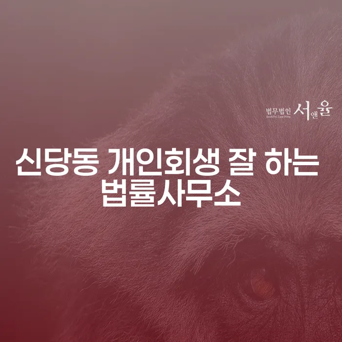신당동 개인회생 잘 하는 법률사무소