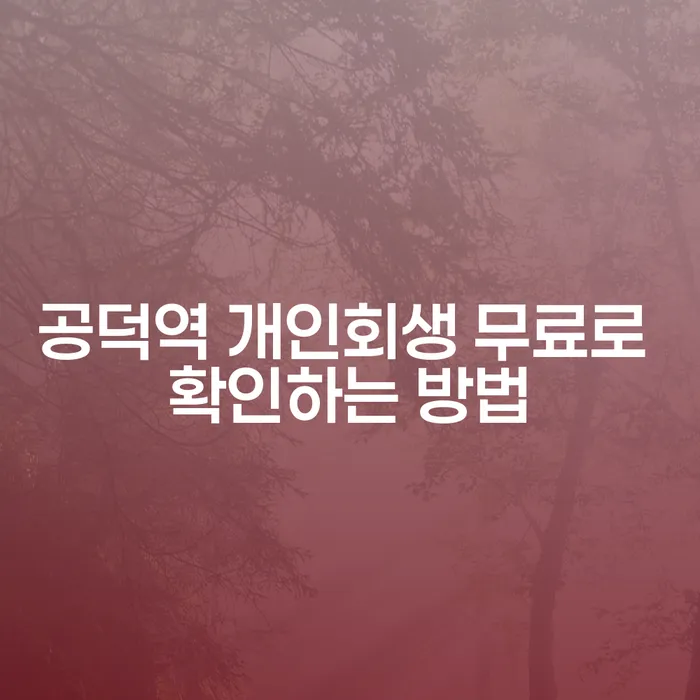 공덕역 개인회생 무료로 확인하는 방법