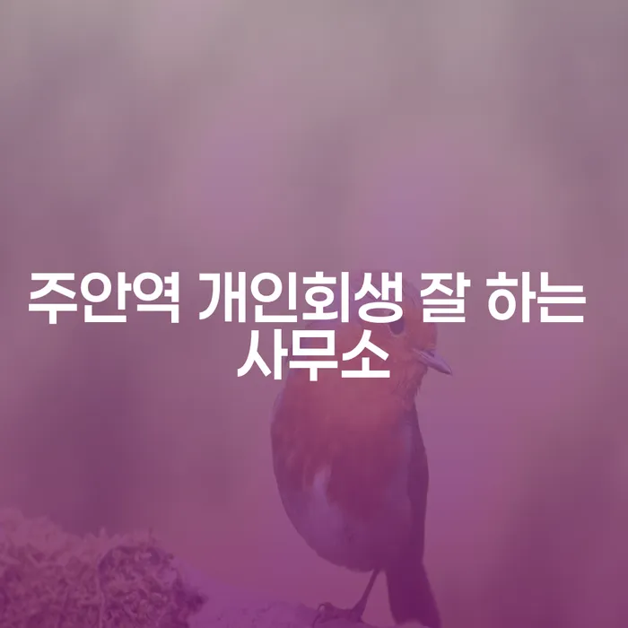 주안역 개인회생 잘 하는 사무소