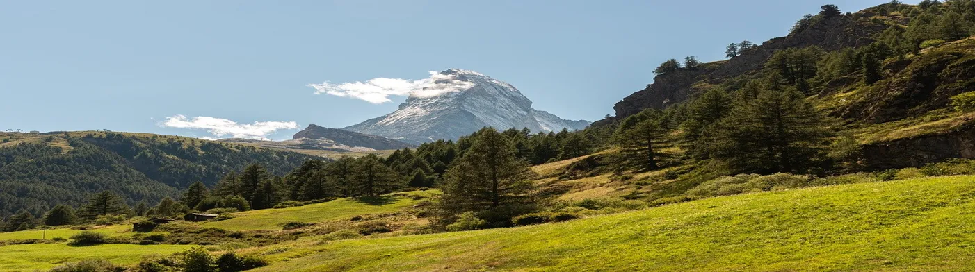 법무법인 서앤율