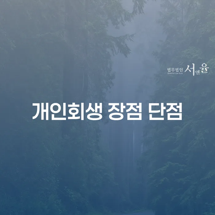 금호동 개인회생의 이해와 활용 방안