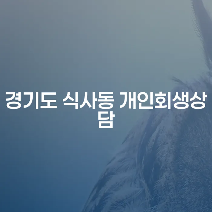 경기도 식사동에서 개인회생상담을 받아야 할까요?