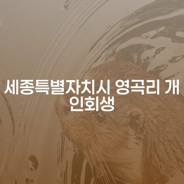 세종특별자치시 영곡리에서 개인회생을 신청하는 것이 적합할까요?