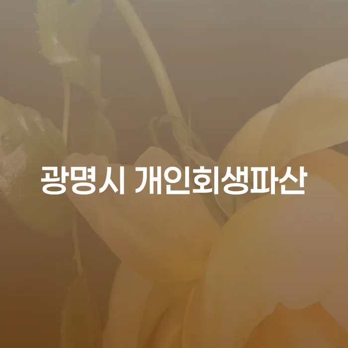 광명시 개인회생파산, 국세 부담을 덜어낼 수 있는 방법은?